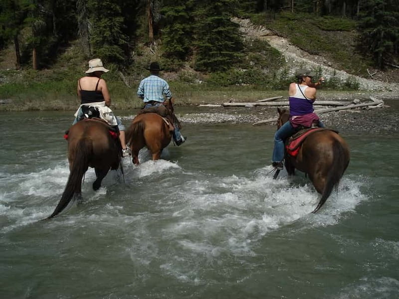 Marmaris: Horse Riding & Safari with Hotel Transfer - A quiet ride through forest and orange groves