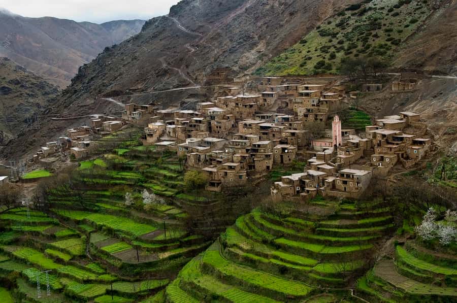 Marrakech: Atlas Mountains and Desert Safari with Lunch - Key points to know before booking