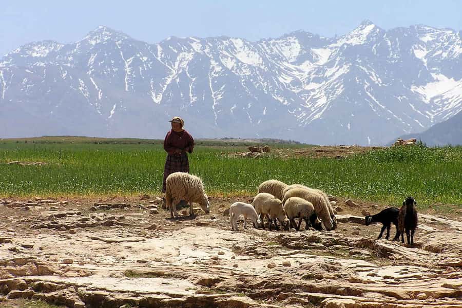 Marrakech: Atlas Mountains and Desert Safari with Lunch - Arriving in Imlil and choosing the hike