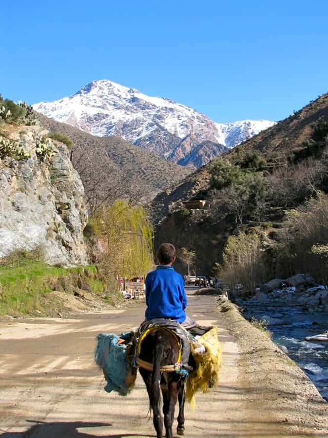 Marrakech: Atlas Mountains and Desert Safari with Lunch - Lunch in a mountain home