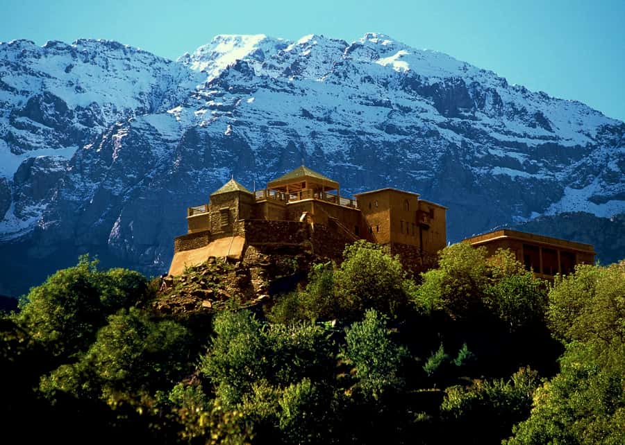 Marrakech: Atlas Mountains and Desert Safari with Lunch - Who should book this day trip?