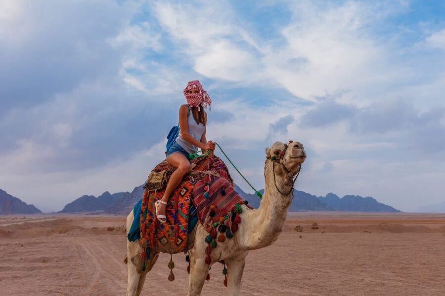 Marsa Alam Bedouin Nights: Jeep Safari, Dinner & Stargazing - Camel ride and the short cultural stops