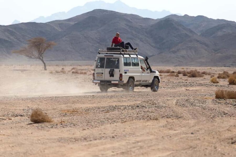 Marsa Alam Bedouin Nights: Jeep Safari, Dinner & Stargazing - Bedouin tea, sunset, and camp hospitality