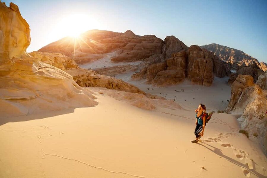Marsa Alam Bedouin Nights: Jeep Safari, Dinner & Stargazing - Telescope stargazing in the clear desert sky