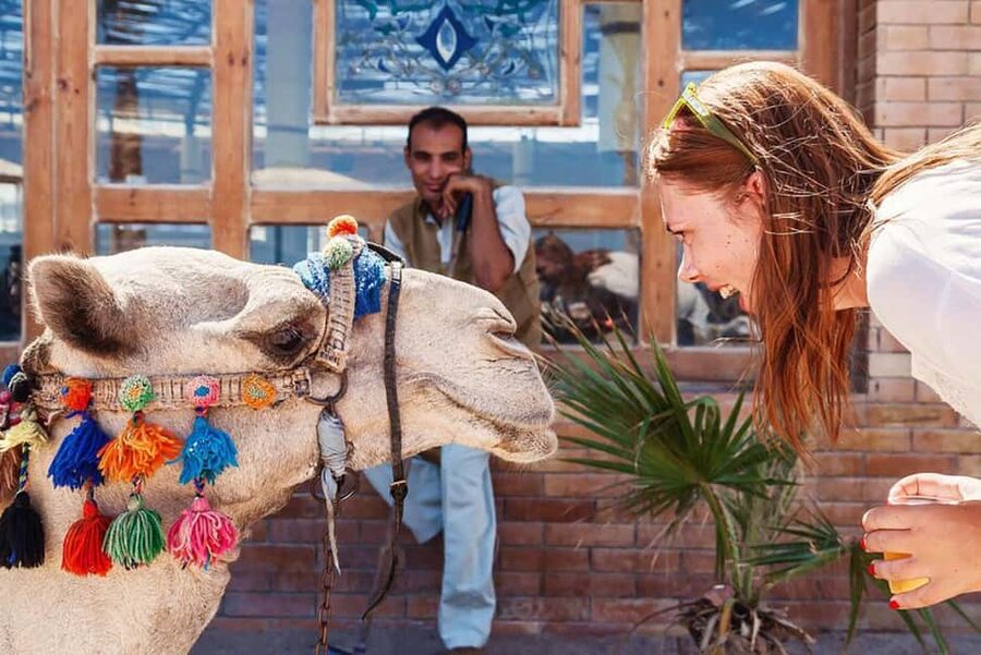 Marsa Alam Bedouin Nights: Jeep Safari, Dinner & Stargazing - Practical tips for a smoother evening