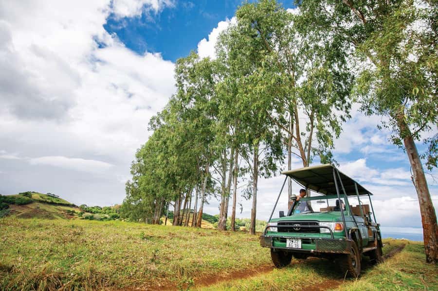 Mauritius: Bel Ombre Nature Reserve 4x4 Safari Adventure - Quick points about the Bel Ombre safari