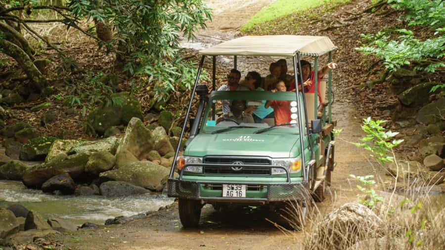 Mauritius: Bel Ombre Nature Reserve 4x4 Safari Adventure - Watching for endemic birds and native wildlife