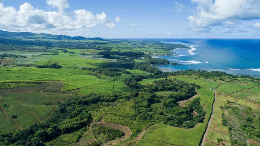 Mauritius: Bel Ombre Nature Reserve 4x4 Safari Adventure - Who should book this experience?