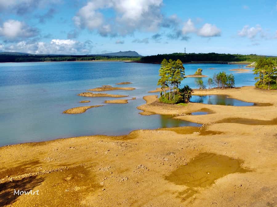 Mauritius: Guided Trip to the Southwest with Safari Tour - Why this tour works for a packed Mauritius day