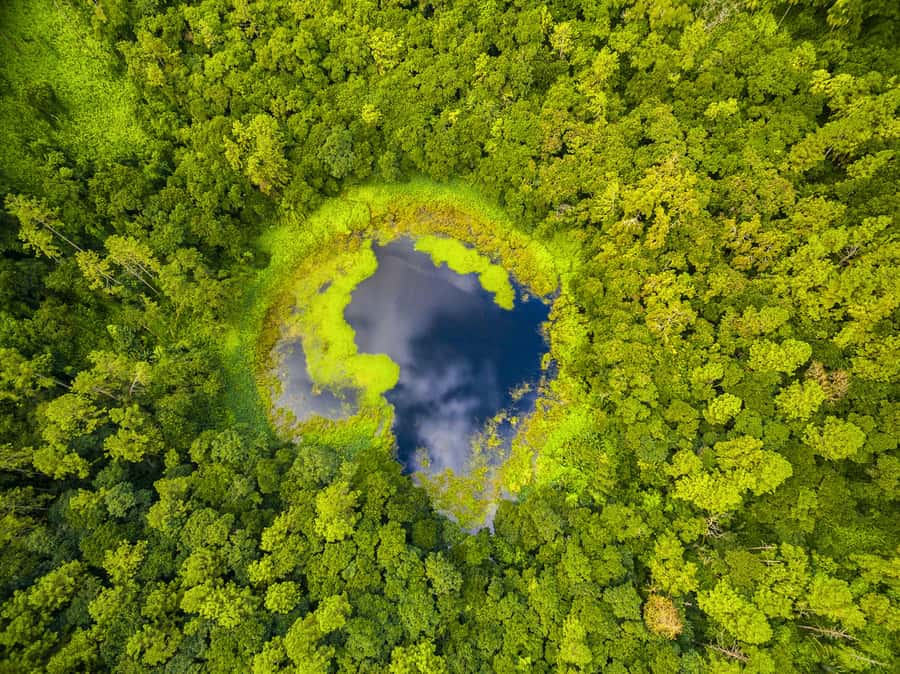 Mauritius: Guided Trip to the Southwest with Safari Tour - Mare aux Vacoas and Ganga Talao add local context