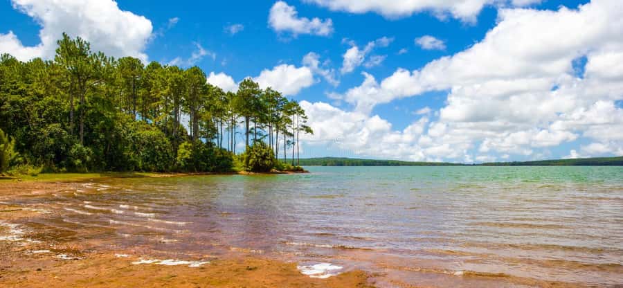 Mauritius: Guided Trip to the Southwest with Safari Tour - Lunch brings a needed pause