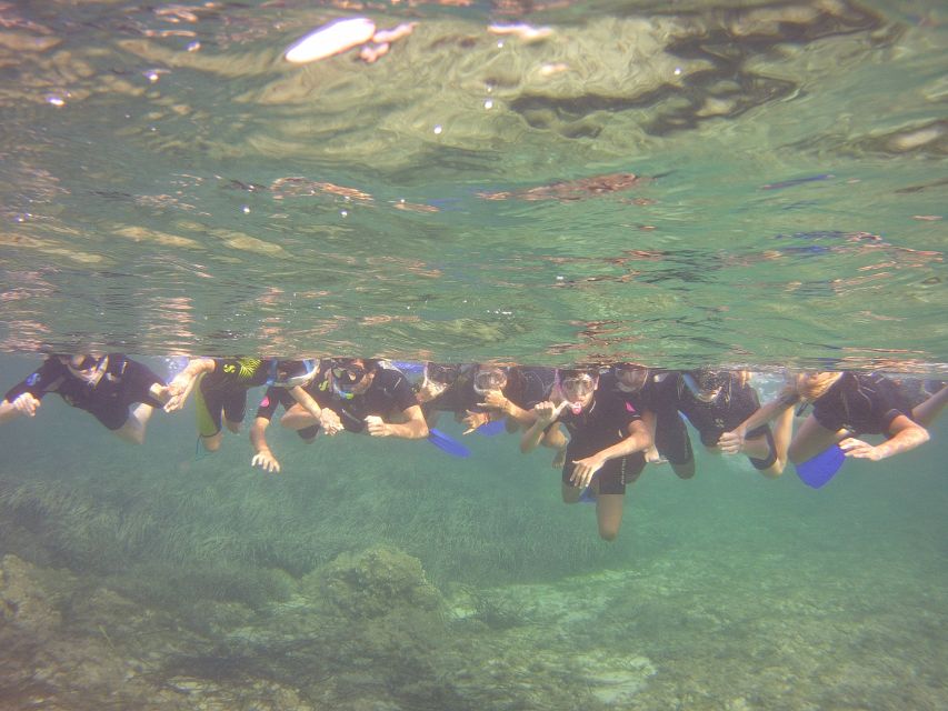 Menorca: Snorkeling Safari Tour - The value of $51 per person