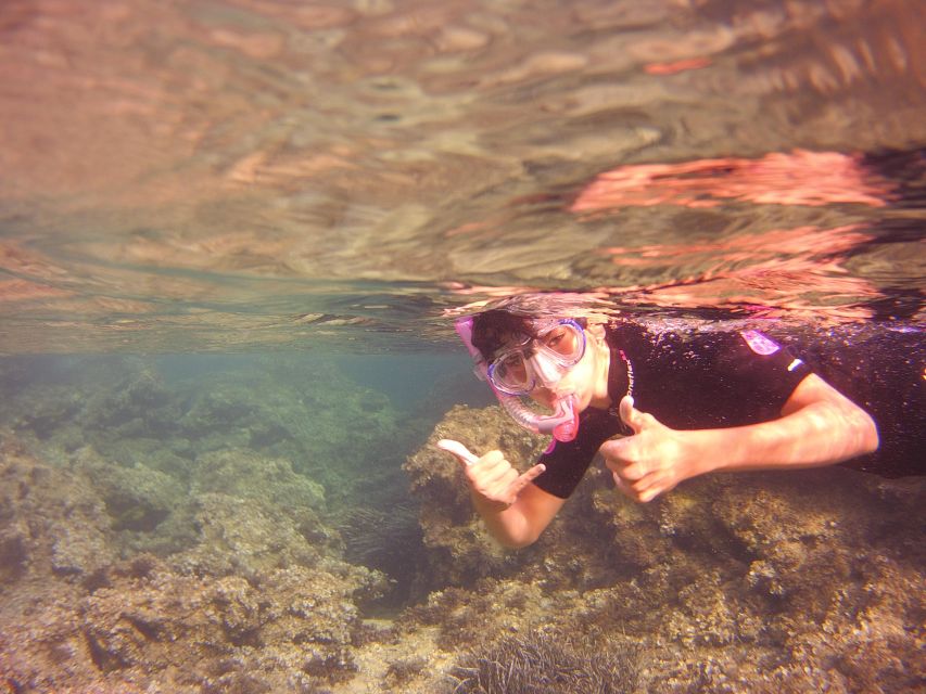 Menorca: Snorkeling Safari Tour - A balanced look at the experience