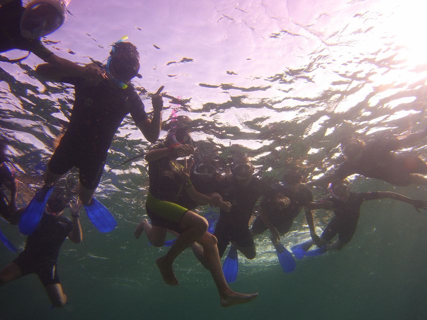 Menorca: Snorkeling Safari Tour - Should you book the Menorca snorkeling safari?