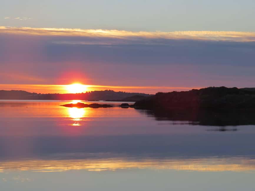 Midnight sun safari - Watching for sea eagles, puffins, and seals