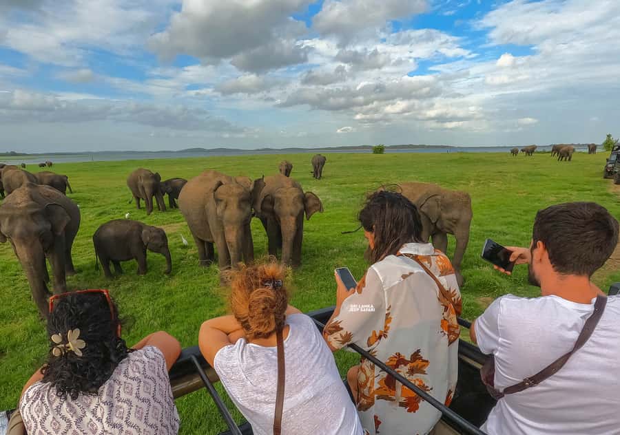 Minneriya: Minneriya National Park Private Elephant Safari - Other animals you may spot along the way