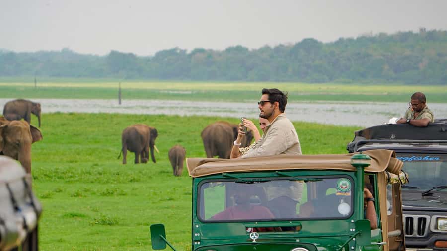 Minneriya: Minneriya National Park Private Evening Safari - A practical afternoon from Dambulla, Sigiriya, or Habarana