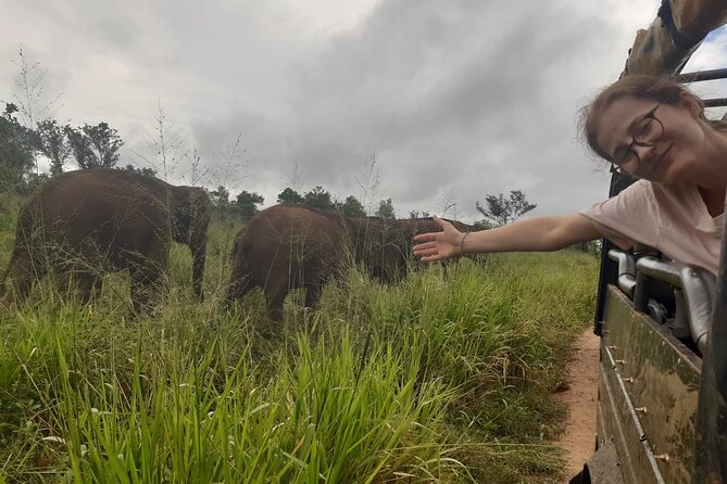 Minneriya National Park Elephant Jeep Safari Private Tour - Why this safari is a good choice near Anuradhapura
