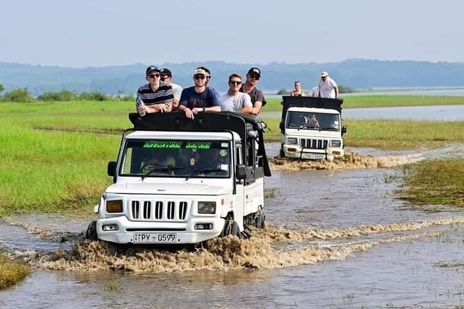 Minneriya National Park halfday Safari - The four-hour jeep route through the park