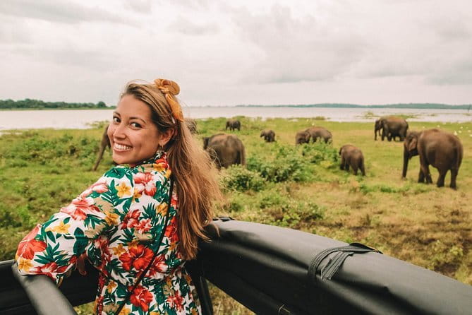 Minneriya National Park | Private Safari - The real value of the $25 price