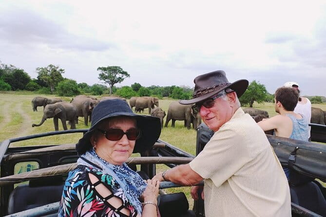 Minneriya National Park Safari [private , full package] - Hotel pickup makes a short safari easier