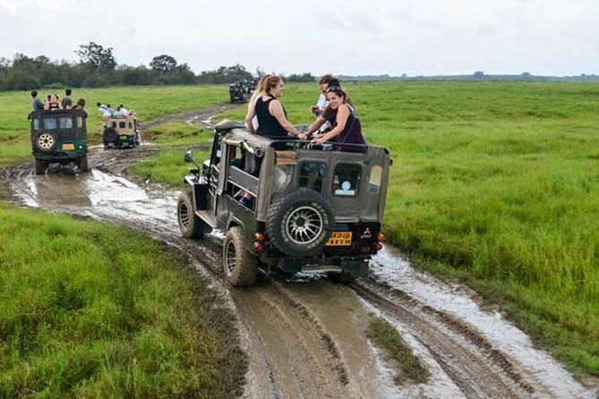 Minneriya National Park Safari [private , full package] - Who will enjoy this safari most