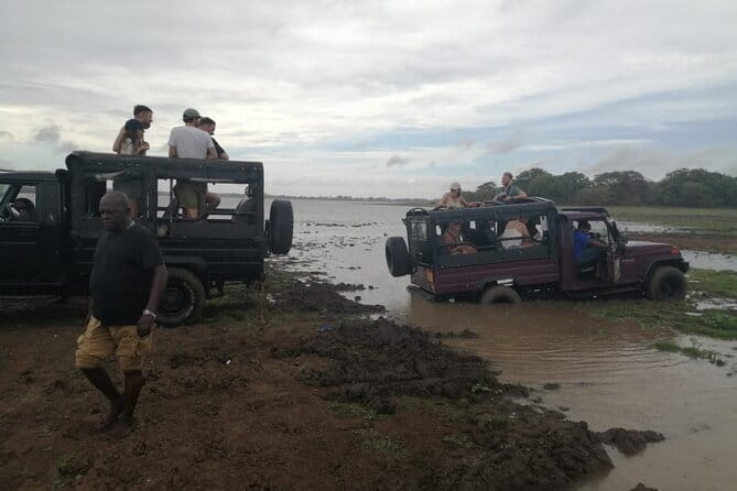 Minneriya National Park Safari - Private Jeep with Hotel Pickup - What you might see beyond the elephants