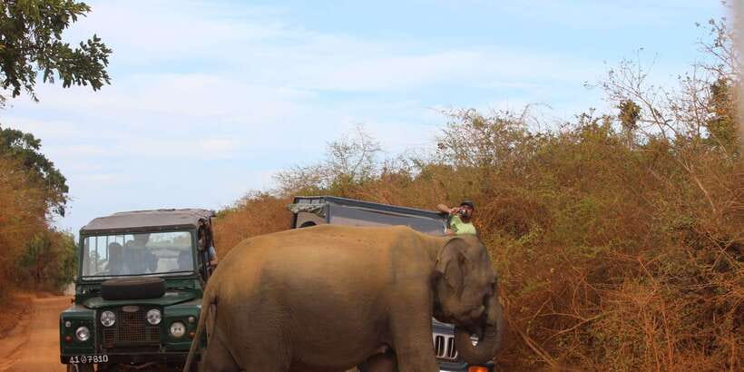 Minneriya: Private Jeep Safari From Trincomalee - The road from Trincomalee to Minneriya
