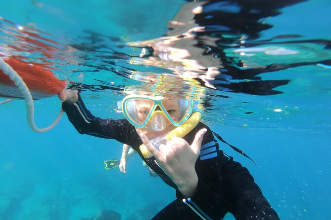 Mobula Ray and Ocean Safari Day Trip - Why this Cabo day trip is worth the early alarm
