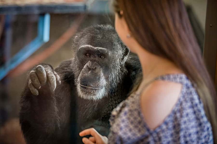Monarto Safari Park: General Admission Tickets - Key points at a glance