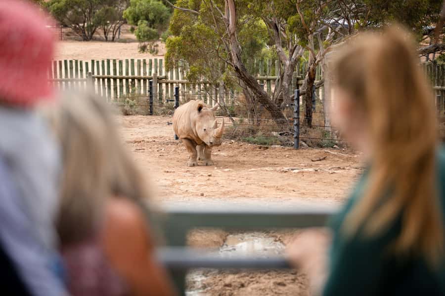 Monarto Safari Park: General Admission Tickets - Is Monarto suitable for children and older visitors?