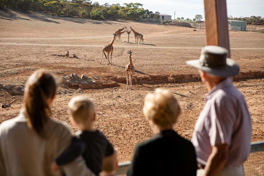 Monarto Safari Park: General Admission Tickets - Start with the Zu-loop bus