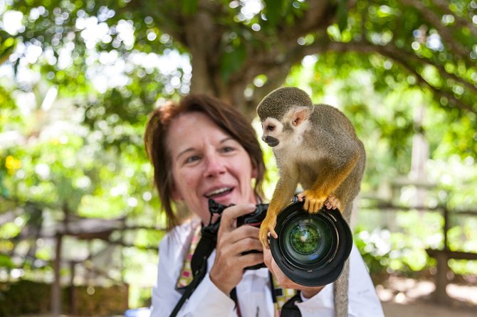 Monkeyland and Plantation Safari Tour from Punta Cana - How safe and comfortable is the monkey interaction?