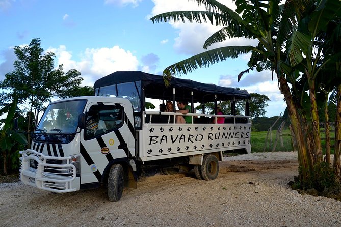 Monkeyland and Plantation Safari Tour from Punta Cana - The botanical garden and mountain views