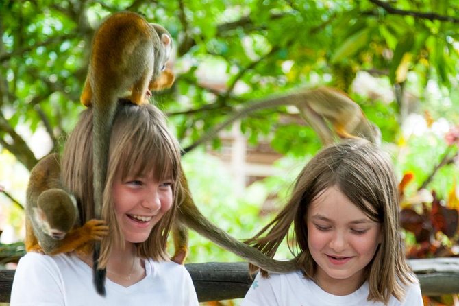 Monkeyland and Plantation Safari Tour from Punta Cana - Is $80 a fair price?