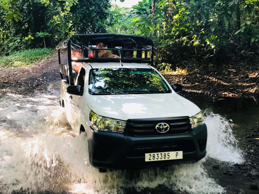Moorea:4X4 safari excursion between land and sea with lunch - Opunohu Valley, river roads, and pineapple country