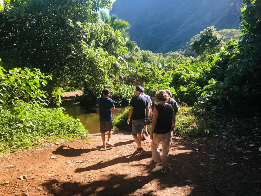 Moorea:4X4 safari excursion between land and sea with lunch - Belvedere viewpoint and the twin bays
