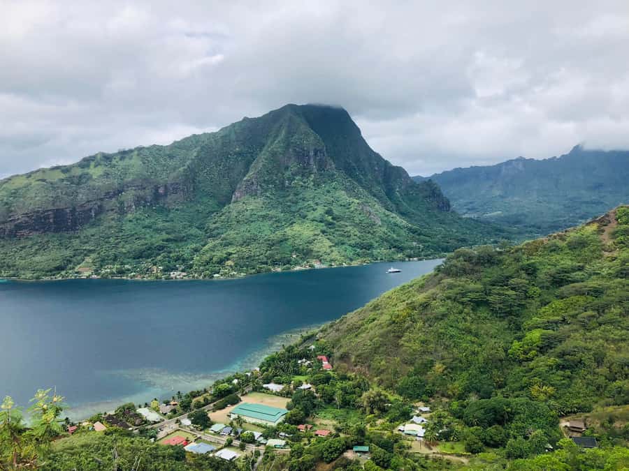 Moorea:4X4 safari excursion between land and sea with lunch - Fruit juice and liquor tasting at Rotui