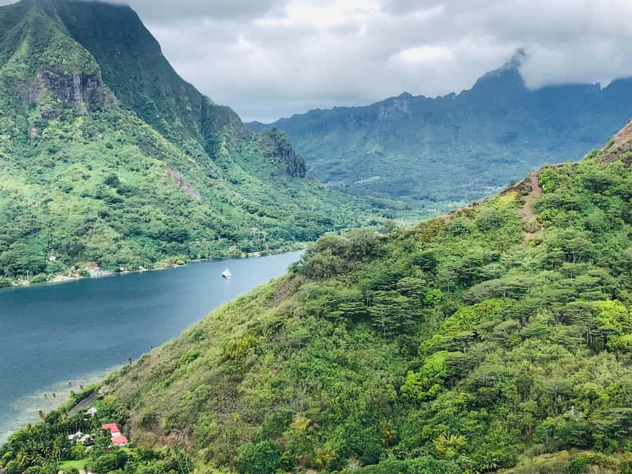 Moorea:4X4 safari excursion between land and sea with lunch - Pearl shopping before the ride back