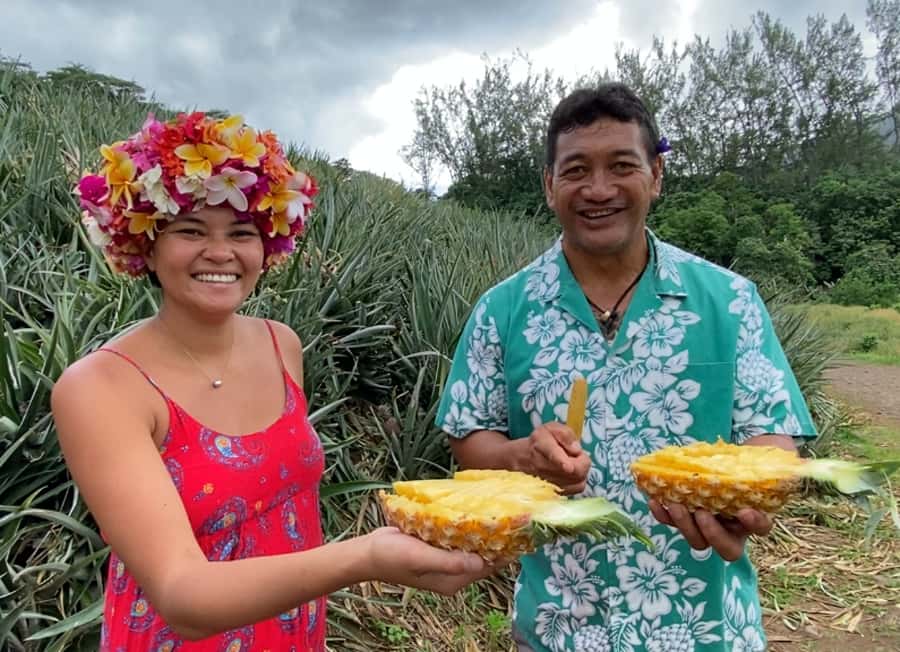 Moorea: Half-Day Open-Air 4WD Safari with Hotel Transfers - The special Cook’s Bay photo stop