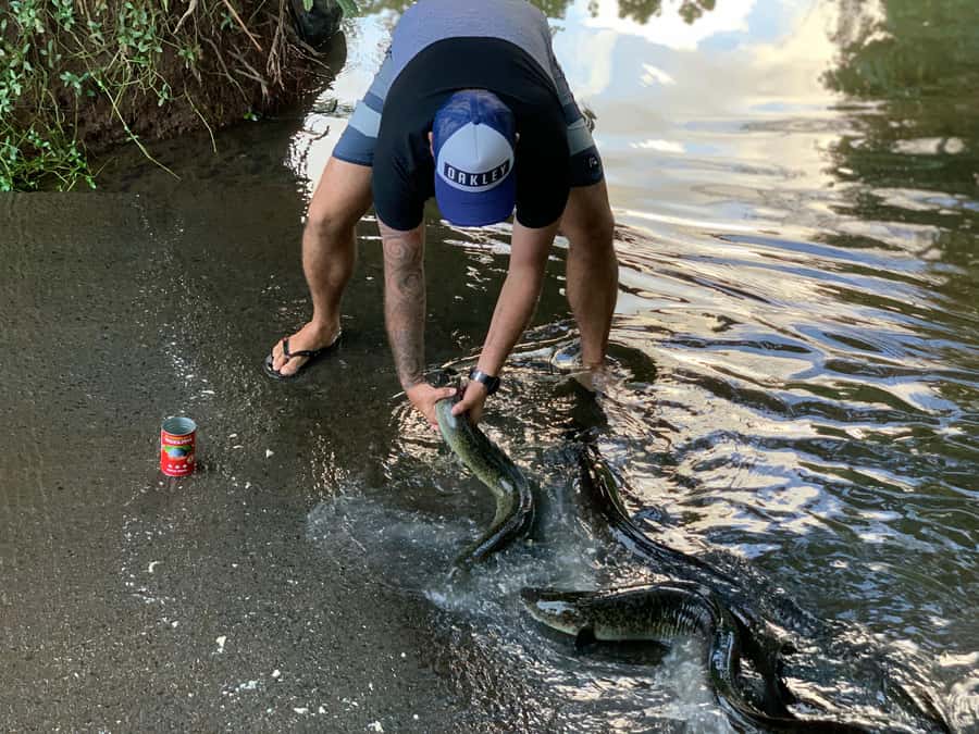Moorea: Half-Day Open-Air 4WD Safari with Hotel Transfers - The open-air ride and group experience