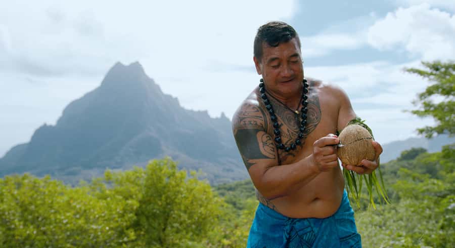 Moorea: Half-Day Open-Air 4WD Safari with Hotel Transfers - Starting around Cook’s Bay