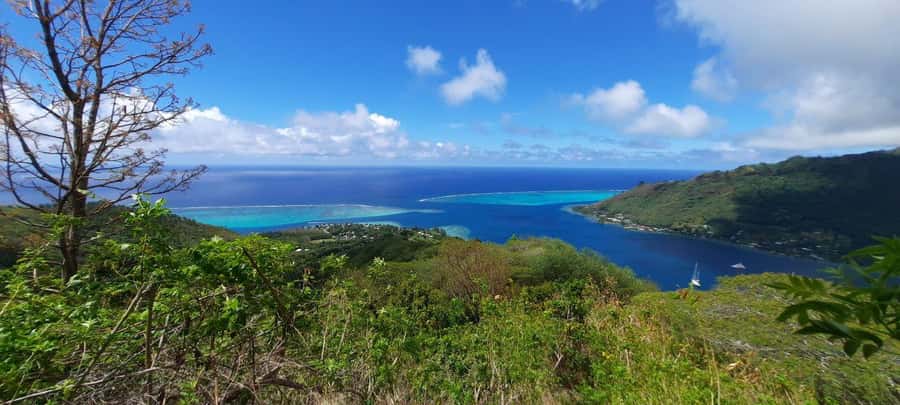 Moorea : Safari Nature and Culture Tour with local guide - Why this tour works for a first look at Moorea