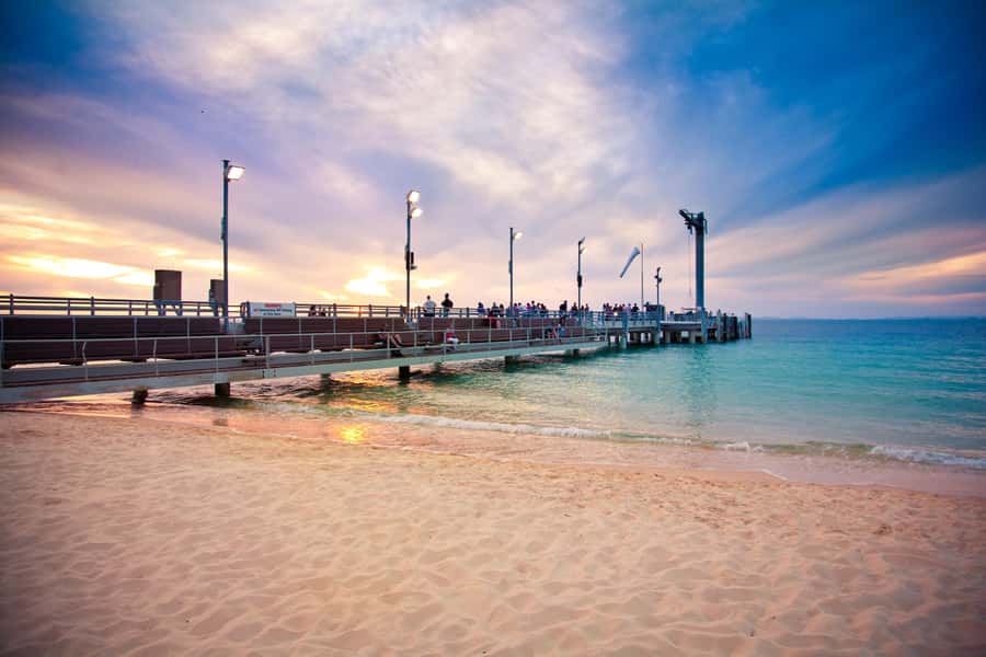 Moreton Island: Desert Safari Tour & Dolphin Viewing - Should you book this Moreton Island day trip?