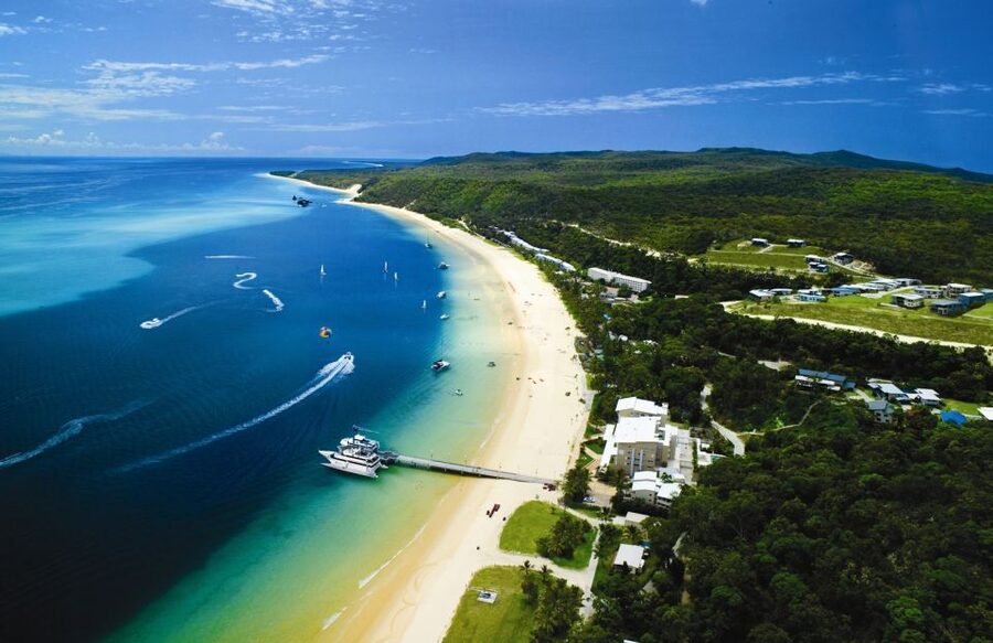 Moreton Island: Tangalooma Day Trip with Desert Safari - Lunch with room to choose