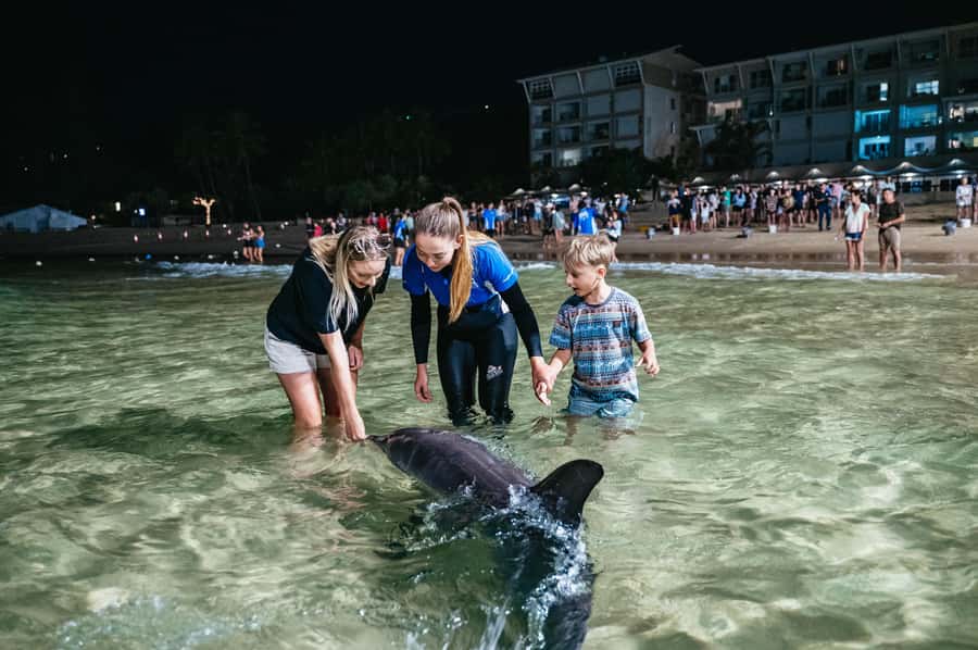 Moreton Island: Tangalooma Desert Safari and Dolphin Feeding - Lunch with room for personal choice