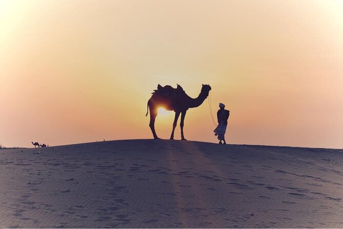 Morning Desert Safari, 25 Minutes ATV with 20 minutes Camel Ride - Photo stop at the edge of the desert