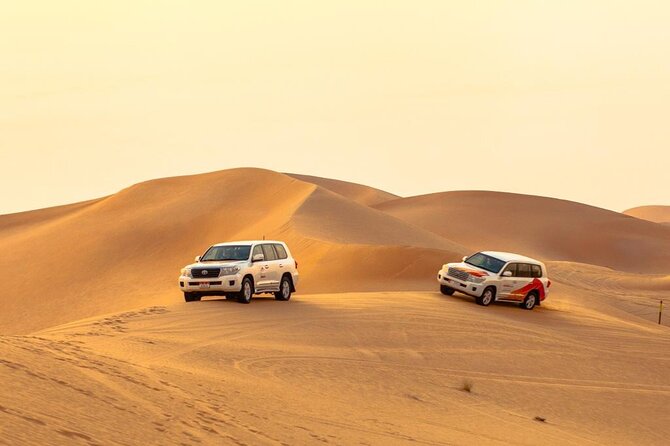 Morning Desert Safari From Abu Dhabi - What the guides add to the experience