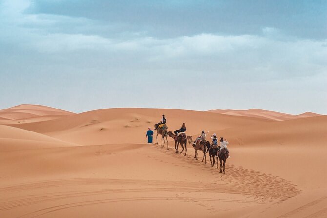 Morning Desert Safari From Abu Dhabi -Camel Ride,Sand Boarding,Camel Farm Visit - Group size, comfort, and timing concerns