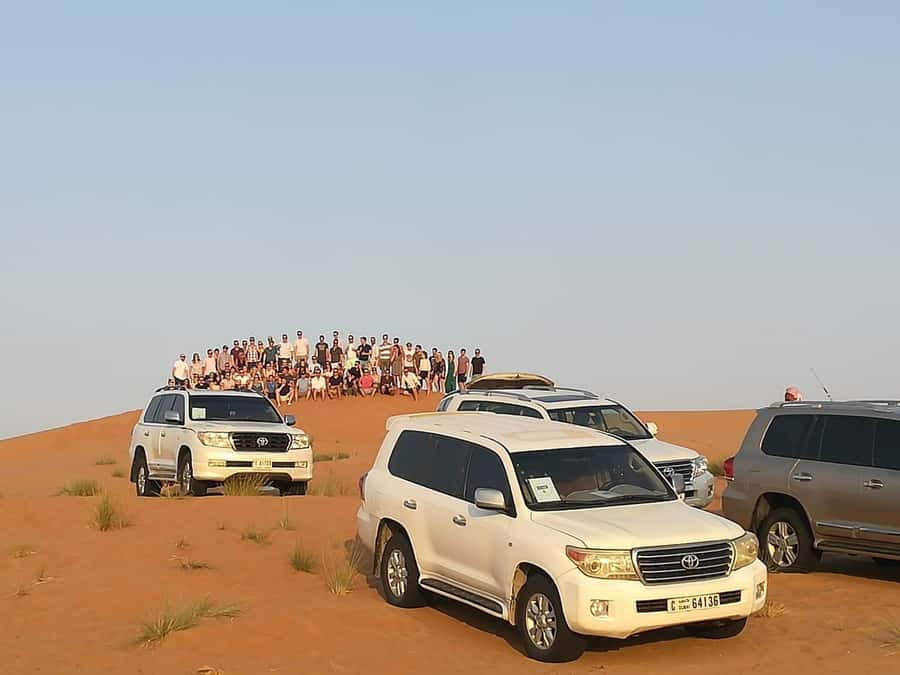 Morning Desert Safari in Ras Al Khaimah - Camel farm visit: useful, friendly, and sometimes short